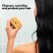 Organic Solid Shampoo Bar - SoapFactory | Vegan Hair Soap with Sage & Tea Tree Oil | 100% Natural & Handmade for Softness & Shine - 3 oz - Buy Online on GoSupps.com