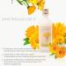 Face Shop Calendula Essential Moisture Emulsion - Moisturizing & Soothing Daily Skincare for Irritated Skin 5.0 Fl Oz - International Shipping Available - Buy Online on GoSupps.com