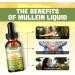 Buy Mullein Drops for Lungs - Immune Support Herbal Tincture 2 fl oz | Detox & Respiratory Health Supplement - Buy Online on GoSupps.com