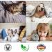 100 ml Linozz Animal Odor Neutralizer - Effective Cat Urine & Dog Bed Smell Remover | Vegan Air Cleaner & Litter Box Deodorant - Buy Online on GoSupps.com