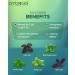 Ambrosial Tulsi Drops 30ml - Immunity Booster & Cold Relief | 5 Tulsi Extract | Raw Holy Basil Leaf | Pack of 1 - Buy Online on GoSupps.com