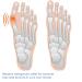 Bale Toe - Hallux Valgus Big Toe Stretcher & Separator | Restore Alignment of Overlapping & Curved Toes | Shop Internationally - Buy Online on GoSupps.com