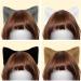 SycloPak Cat Ears Cat Ears Headband Fox Ears Wolf Ears Cat Ears Halloween Cat Headband Werewolf Ears White Cat Ears Cat Ears Headband Adult Fluffy Cat Ears Cute Cosplay Costume Party Head Accessories - Buy Online on GoSupps.com