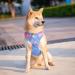 Phoepet No Pull Dog Harness | Reflective Vest with Soft Training Handle for Small to Large Dogs | Baby Blue & Pink - Medium Size - Buy Online on GoSupps.com