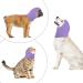 Dog Snood & Earmaker - Hearing Protection Hoodie for Dogs & Cats | Noise Protection & Neck Warmer | Violet - Buy Online on GoSupps.com