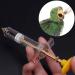 Bird Feeding Syringe Set Baby Birds Syringe Feeder Parrot Feeding Syringe Tube Measuring Syringe Budgie Pet Hand Rearing Feeding Syringes Baby Birds Feeding Syringe Used for Feeding Milk Medicine - Buy Online on GoSupps.com