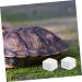 ORFOFE 12pcs Pet Mineral Hermit Crab Shells Cold Shipping Boxes White - Buy Online on GoSupps.com