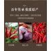 Garlic and chili sauce 200g/can handmade chili sauce in China main course and side dishes rice toppings ready to eat food special spicy chili sauce black bean sauce (1 can) - Buy Online on GoSupps.com