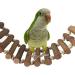 Handmade Bird Toys & Cages - Parrot Swings Ladders & Suspension Bridges for Birds - Buy Online on GoSupps.com