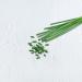 Buy Amazon Chives 9g (Pack of 3) - Fresh Herbs for Cooking | International Shipping Available - Buy Online on GoSupps.com
