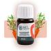 MCT Natural Carrot Seed Oil 20ml | 100% Pure Aromatherapy & Massage Oil | No Additives | Premium Care Oil for Skin - Buy Online on GoSupps.com