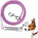 Mi Metty 50ft Dog Cable Leash - Kausproof & Absorbent Spring for Training Camping & Farm Use - Durable Purple 15m Dog Training Line - Buy Online on GoSupps.com