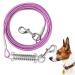Mi metty dog cable 15ft (4.5m) Kausproof dog leash with absorbent spring dog training lines suitable for courtyard and camping purple 15ft (4.5m)