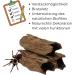 Buy Garpet Aquarium Decoration Cave Tube - Natural Wood Root Aquarium Decor - Buy Online on GoSupps.com