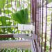 Pack of 4 Bird Feeders: Cage & Food Holder, No Mess Parakeet Food Bowl, Hanging Parrot Water Dispenser, Seed Cage Cups - Replacement Feeder Bowls - Buy Online on GoSupps.com