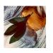 fine'ry. Men's Eau De Cologne - Why Not - 2 fl oz - Buy Online on GoSupps.com