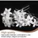 EOYVAIL Barrettes Hair Clips for Women Bridal Hair Clips Accessories First Holy Communion Pins for Women and Girls Wedding (10 Pieces White) - Buy Online on GoSupps.com
