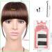 Clip in Bangs Real Human Hair Thin Clip on Bangs Clip in Fringe Bangs Hair Clip Air Bangs Clip in Bangs for Women Hair Extensions Fashion Wispy Bangs Fringe Air Bangs Clip for Daily Wear SW65-2/30 - Buy Online on GoSupps.com