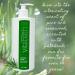 Vitabath Original Spring Green Moisturizing Bath & Shower Gel - 21 oz | Botanical Skin Rejuvenation Body Cleanser with Patchouli Extract - Buy Online on GoSupps.com