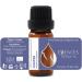 Forest Magic Organic Essential Oils Set - Scotch Pine, Juniper, Silver Fir | 100% Pure & Natural, Therapeutic Grade | Family-Owned Farm | Non-GMO | 3 x 10 ml - Buy Online on GoSupps.com