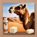 Cielche Handmade Camel Milk Soap Bar 150 gr Vitamins A - B - C - D - E Minerals Antioxidants Hydrate Fine Lines Wrinkles Age Spots - Buy Online on GoSupps.com