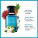 L'ORIENTALE FRAGRANCE SAPPHIRE BOLD (M) EDP 100ML - Buy Online on GoSupps.com