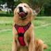 Rabbitgoo Adjustable No-Pull Harness for Medium Dogs | Breathable Reflective Control & Safe | Large Size Available - Red (1 Pack) - Buy Online on GoSupps.com