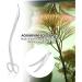 Aquarium Plant Scissors Stainless Steel Wave Scissors Curved Scissors Aquarium Tank Aquascaping Tools Water Plant Trim Tool Aquatic Plant Landscaping Cleaning Scissors(Wave Scissors) - Buy Online on GoSupps.com