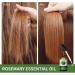 100% Pure Organic Rosemary Oil for Hair Growth & Skin Care - Natural Hair Oil - Buy Online on GoSupps.com