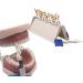 Porcelain Teeth Whitening Shade Guide Set - 29 Colors Tooth Bleaching Chart for Dental Care - Buy Online on GoSupps.com