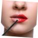 4pcs Lip Brush Set - Portable Lip Gloss Lip Concealer & Lipstick Applicators | Essential Makeup Tools - Buy Online on GoSupps.com