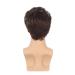 Swiking Men Short Brown Mix Blonde Wig - Layered Halloween Cosplay Party Hair Costume for Adults - Buy Online on GoSupps.com