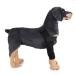 PETCUTE Dog Hock Brace for Dogs Knee Pads Dog Rear Leg Support Dog for Injury Arthritis Healing(1 Pair)