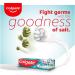 Colgate Toothpaste Active Salt - 100 G (Salt) - Freshening Plaque Bad Breath(3.5 Ounce) - Buy Online on GoSupps.com