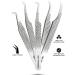 GMI Set of 5 Stainless Steel Eyelash Extension Tweezers for Individual Lash Application - Buy Online on GoSupps.com