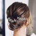 Crystal Bride Wedding Hair Pins - Silver Bridal Hair Piece for Women and Girls (Pack of 2) - Buy Online on GoSupps.com