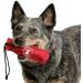 Company of Animals Canvas Training Dummy - Medium Size | Retrieval & Gundog Training Equipment | Floats & Highly Visible | Long Distance Throwing | Suitable for Puppies | Old Model - Buy Online on GoSupps.com