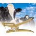 iFCOW Alloy Livestock Ear Tag for Farm Animals - Cow, Sheep, Rabbit - Buy Online on GoSupps.com