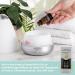 Buy SpaRoom 100% Pure Essential Oil - Shield Immunity Blend 10 mL | International Shipping Available - Buy Online on GoSupps.com