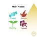 Himalayan Musk 6 ml | Premium Perfume Oil | Attar Oil | Alcohol-Free | Vegan & Cruelty-Free | by Amuze Fragrance - Buy Online on GoSupps.com