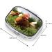 Funny Chicken Grass Print Pill Case - 2 Compartment Travel Organizer for Purse & Pocket - Cute Small Pill Box Gift - Buy Online on GoSupps.com