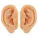 IDEANATEGRATE 1 Pair Ear Acupuncture Point Teaching Model - Silicone Fake Ear for Massage Assistance - Realistic Display Decor for Jewelry Piercing Practice