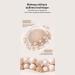 Colorist Foundation | Liquid Concealer 30ml | Long-Lasting for Women and Teens | Everyday Makeup Natural Look Travel-Friendly - Buy Online on GoSupps.com