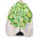 Green Succulent Barber Cape - Adjustable 55x63 Inch Hair Cutting Cape for Women Men Kids | Summer Tropical Vintage Styling Accessory - Buy Online on GoSupps.com