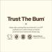 Sun Bum Original SPF 30 Pineapple Sun Protection Lip Balm - Buy Online on GoSupps.com