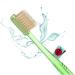 Smart Miswak ionic toothbrush with Siwak powder. Brush your teeth with or without toothpaste.