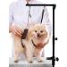 Kalolary Pet Grooming Arm with Clamp | Adjustable 33 Inch Height | No Sit Haunch Holder | Dog Grooming Loop Noose | Ideal for Medium & Small Dogs - Buy Online on GoSupps.com