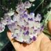 FUERLI Amethyst Rough Stone Natural Amethyst Specimen Ore Purple Quartz Stone Raw Home Decor (Size : 500-600) HOMEZHOU (Size : 300-400g)