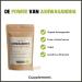 Cupplement | Ashwagandha Capsules 60 Pcs | 500 MG per Organic Capsules | Top Quality | Mushroom | 2 measurements per day - Buy Online on GoSupps.com