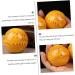 JECOMPRIS 2S Health Ball - Seewide Body Massage Balls for Muscle Relief & Yoga | Natural Resin Massage Accessories - Buy Online on GoSupps.com